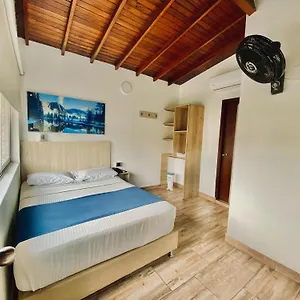 Hotel Boutique Street 50